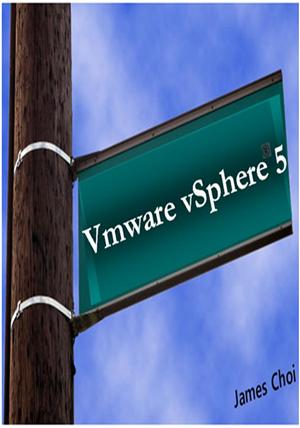 가상화(VMware vSphere 5®)