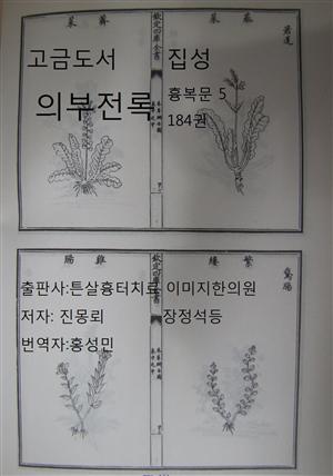 한의학 한방 고금도서집성 의부전록 흉복문 5 184권