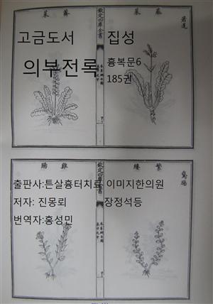 한의학 한방 고금도서집성 의부전록 흉복문 6 185권