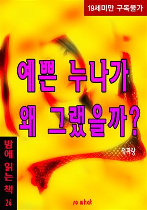 예쁜 누나가 왜 그랬을까? - 밤에 읽는 책 24