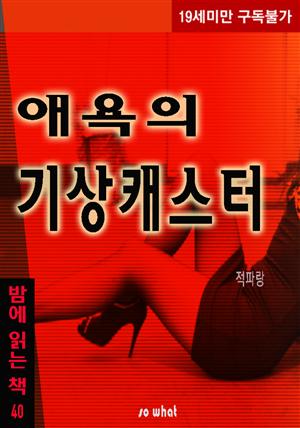 애욕의 기상캐스터 - 밤에 읽는 책 40