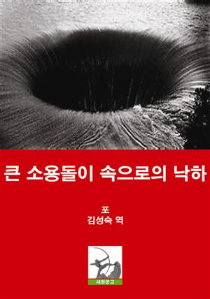 큰 소용돌이 속으로의 낙하