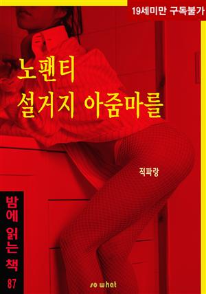 노팬티 설거지 아줌마를 - 밤에 읽는 책 87