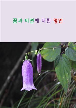 꿈과 비젼에 대한 명언