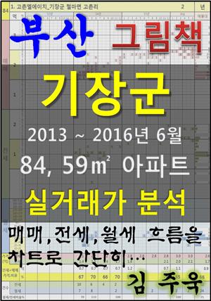 부산 기장군 84,59㎡ 아파트 매매, 전세, 월세 실거래가 분석 (2013 ~ 2016.6월)