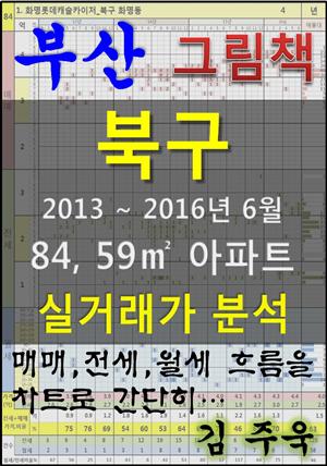 부산 북구 84,59㎡ 아파트 매매, 전세, 월세 실거래가 분석 (2013 ~ 2016.6월)