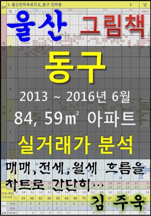 울산 동구 84,59㎡ 아파트 매매, 전세, 월세 실거래가 분석 (2013 ~ 2016.6월)