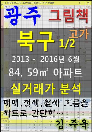 광주 북구 1/2 84,59㎡ 아파트 매매, 전세, 월세 실거래가 분석 (2013 ~ 2016.6월)