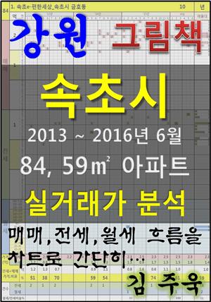 강원 속초시 84,59㎡ 아파트 매매, 전세, 월세 실거래가 분석 (2013 ~ 2016.6월)