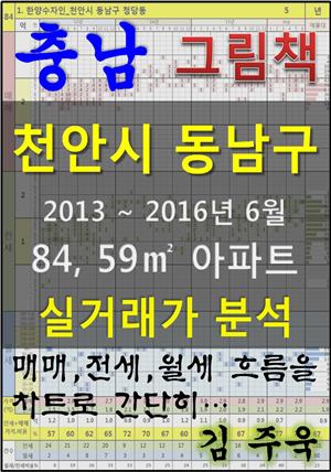 충남 천안시 동남구 84, 59㎡ 아파트 매매, 전세, 월세 실거래가 분석 (2013 ~ 2016.6월)