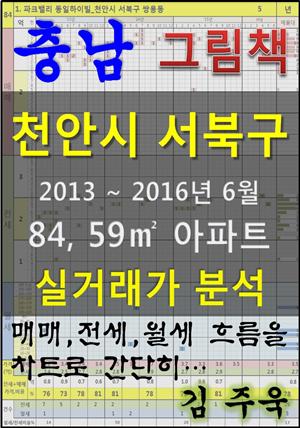 충남 천안시 서북구 84, 59㎡ 아파트 매매, 전세, 월세 실거래가 분석 (2013 ~ 2016.6월)