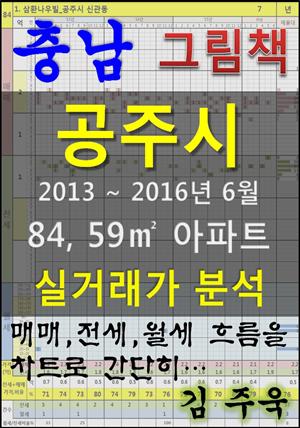 충남 공주시 84, 59㎡ 아파트 매매, 전세, 월세 실거래가 분석 (2013 ~ 2016.6월)