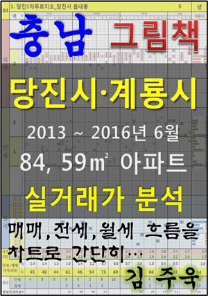 충남 당진시, 계룡시 84, 59㎡ 아파트 매매, 전세, 월세 실거래가 분석 (2013 ~ 2016.6월)