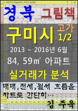 경북 구미시 1/2 고가 84, 59㎡ 아파트 매매, 전세, 월세 실거래가 분석 (2013 ~ 2016.6월)