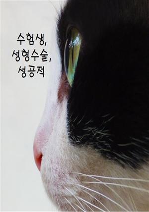 수험생, 성형수술, 성공적