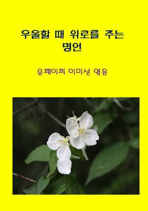 방황하는 마음을 다잡아주는 명언