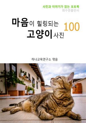 마음이 힐링되는 고양이 사진 100