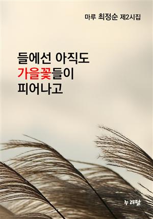 들에선 아직도 가을꽃들이 피어나고