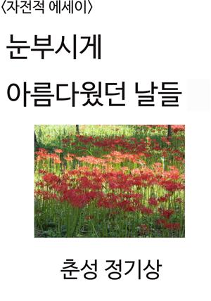 <자전적 에세이> 눈부시게 아름다웠던 날들