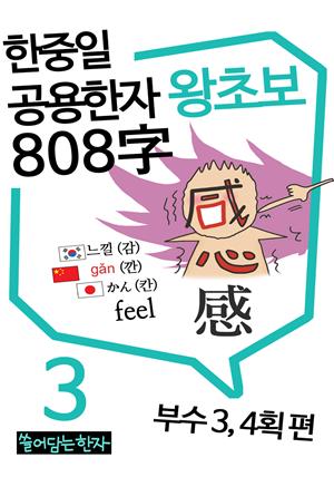 왕초보 한중일공용한자 808자 3권