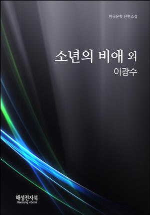 이광수 소년의비애 외