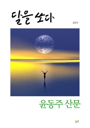 달을 쏘다