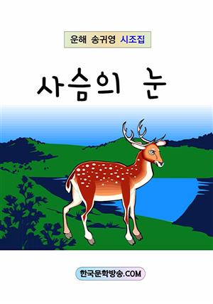 사슴의 눈