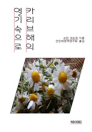 카리브해의 열기속으로