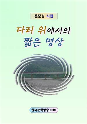 다리 위에서의 짧은 명상