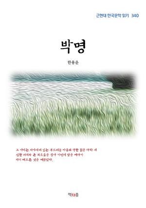 한용운 박명 (근현대 한국문학 읽기 340)