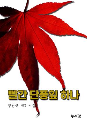 빨간 단풍잎 하나 (갈산 정권식 제3 시집)