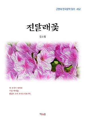 김소월 진달래꽃 (근현대 한국문학 읽기 452)