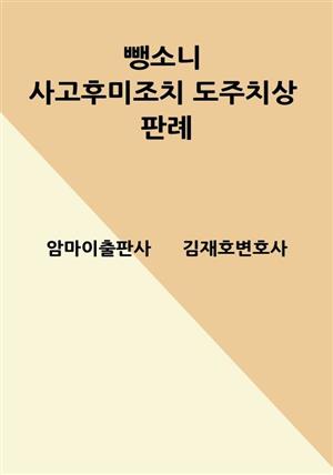 뺑소니 사고후미조치 도주치상 판례