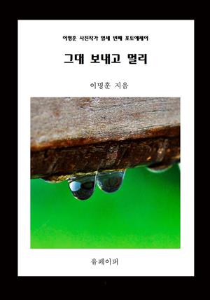 그대 보내고 멀리