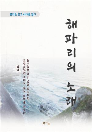 김억 해파리의 노래