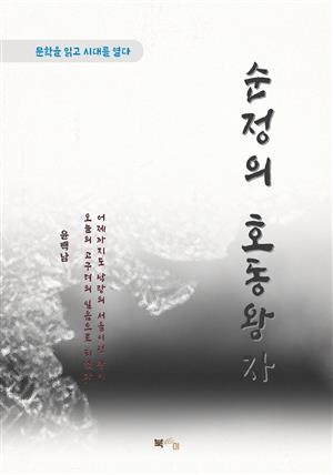 윤백남 순정의 호동왕자