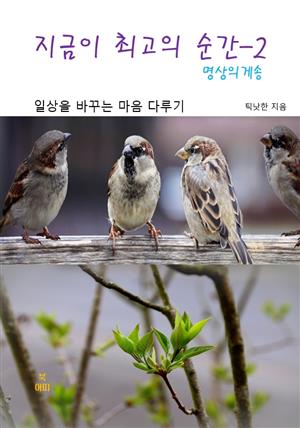 지금이 최고의 순간-2 _명상의 게송