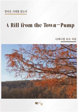 A Rill from the Town-Pump