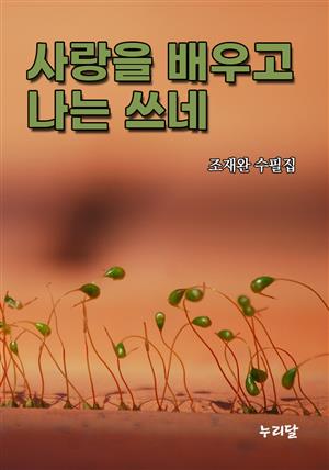 사랑을 배우고 나는 쓰네 (조재완 수필집)