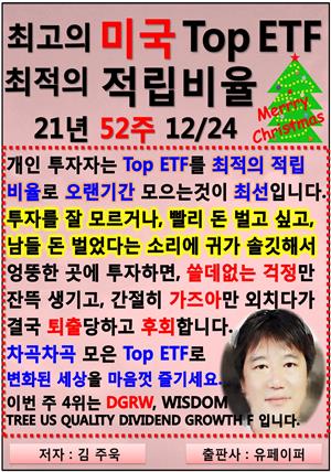 최고의 미국 Top ETF, 최적의 적립비율,21년_52주_12/24