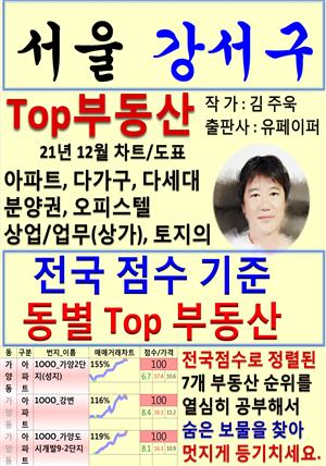 서울 강서구 Top 부동산 (21년 12월, 차트/도표책)