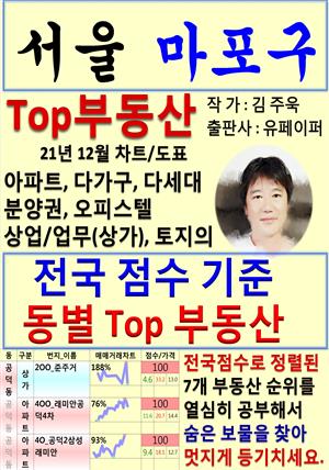 서울 마포구 Top 부동산 (21년 12월, 차트/도표책)