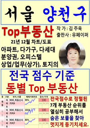 서울 양천구 Top 부동산 (21년 12월, 차트/도표책)