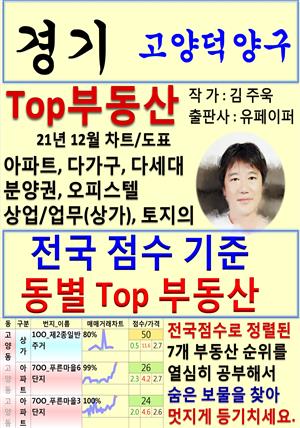 경기 고양덕양구 Top 부동산 (21년 12월, 차트/도표책)