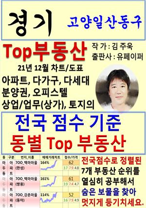 경기 고양일산동구 Top 부동산 (21년 12월, 차트/도표책)