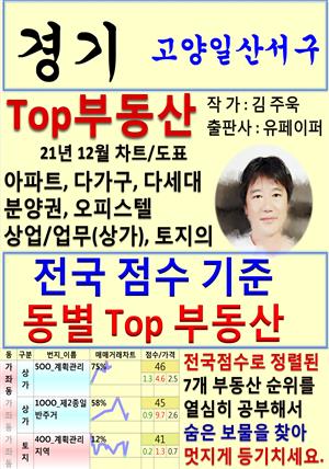 경기 고양일산서구 Top 부동산 (21년 12월, 차트/도표책)