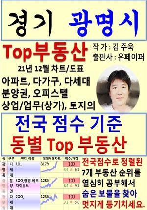 경기 광명시 Top 부동산 (21년 12월, 차트/도표책)