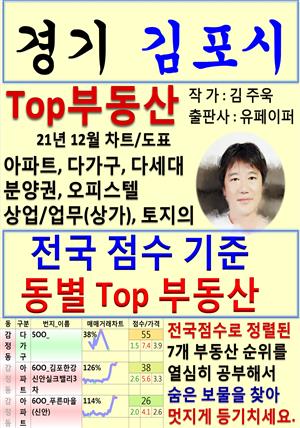 경기 김포시 Top 부동산 (21년 12월, 차트/도표책)