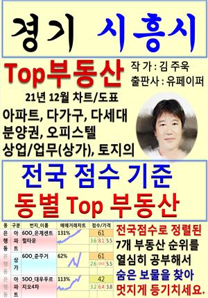 경기 시흥시 Top 부동산 (21년 12월, 차트/도표책)