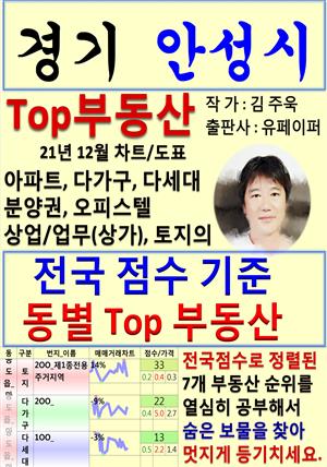 경기 안성시 Top 부동산 (21년 12월, 차트/도표책)